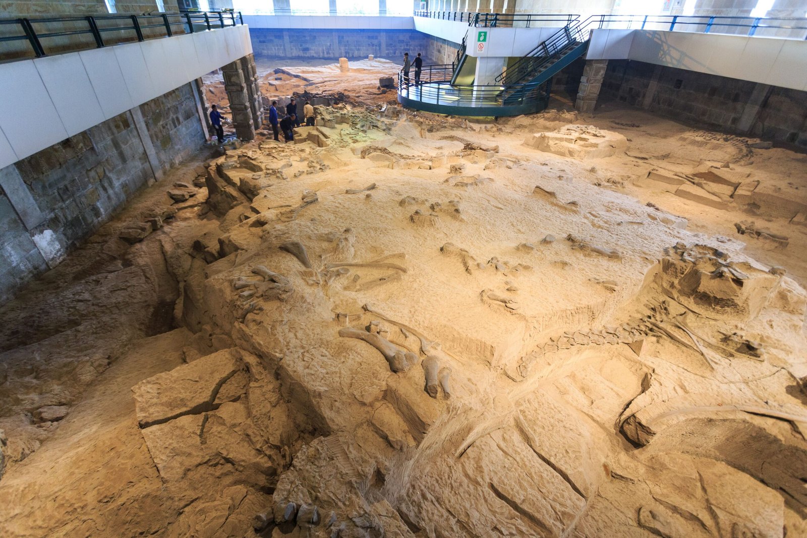 The Role of Tin Mining in Paleontology (image credits: wikimedia)