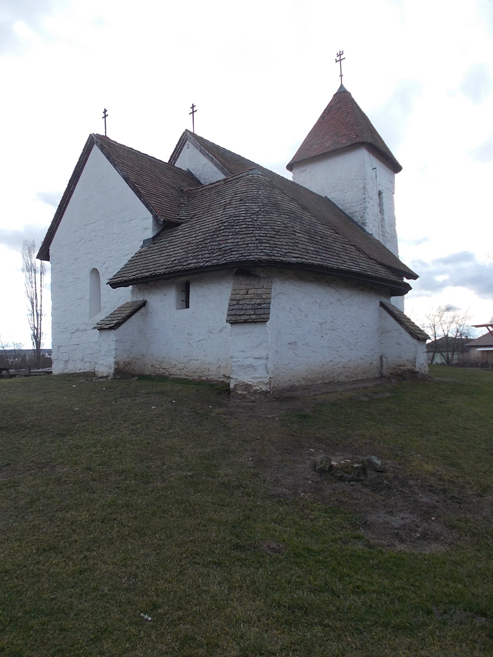 Nature’s Challenge: The Forces That Threatened Survival (image credits: wikimedia)