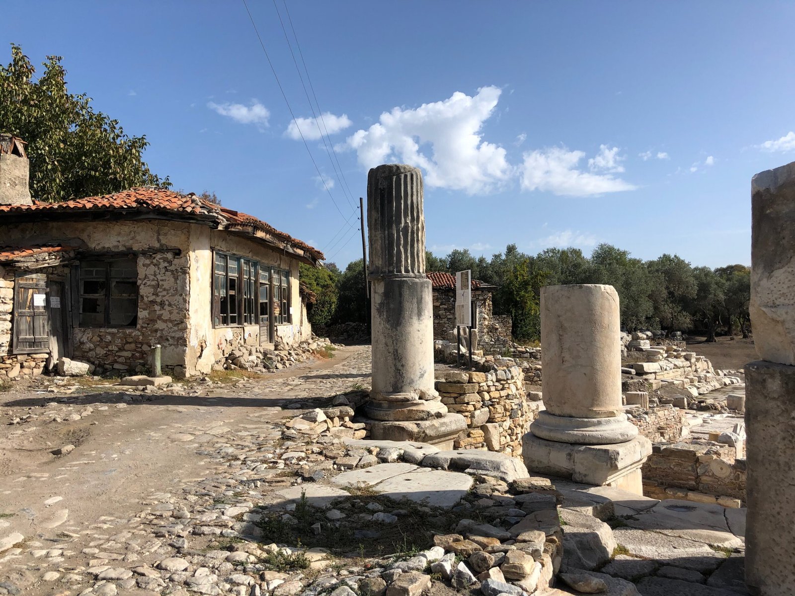 The Human Element: Population Shifts and Social Change (image credits: wikimedia)