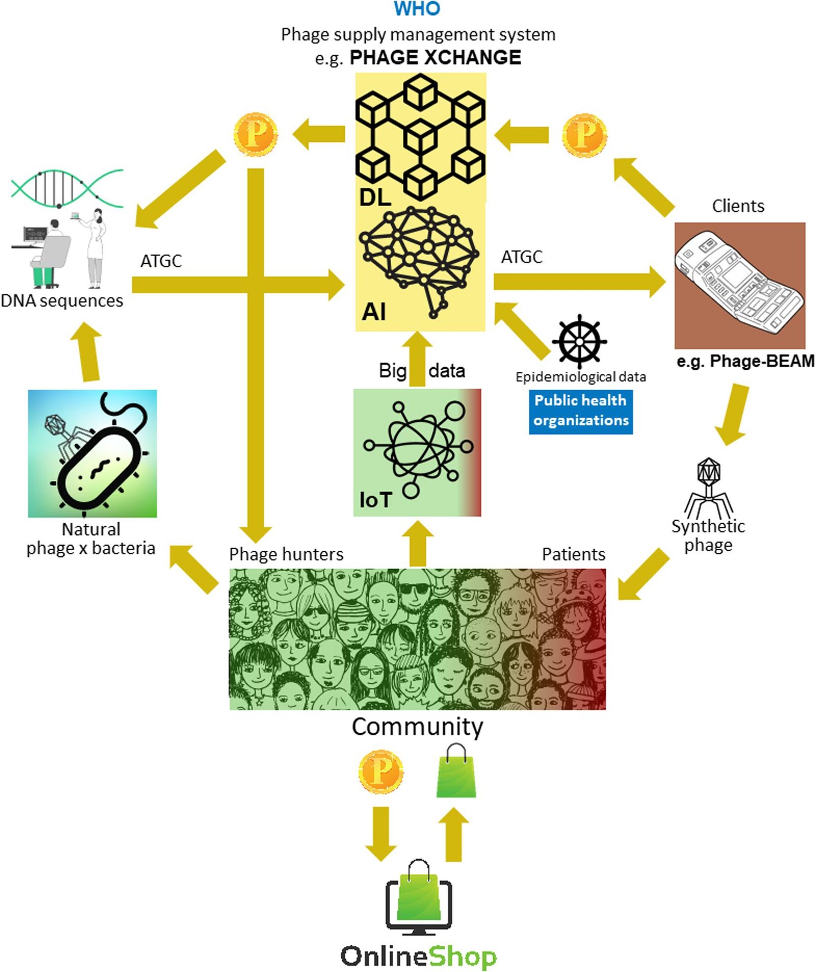 Solving Puzzles: Microbial Problem-Solving (image credits: wikimedia)