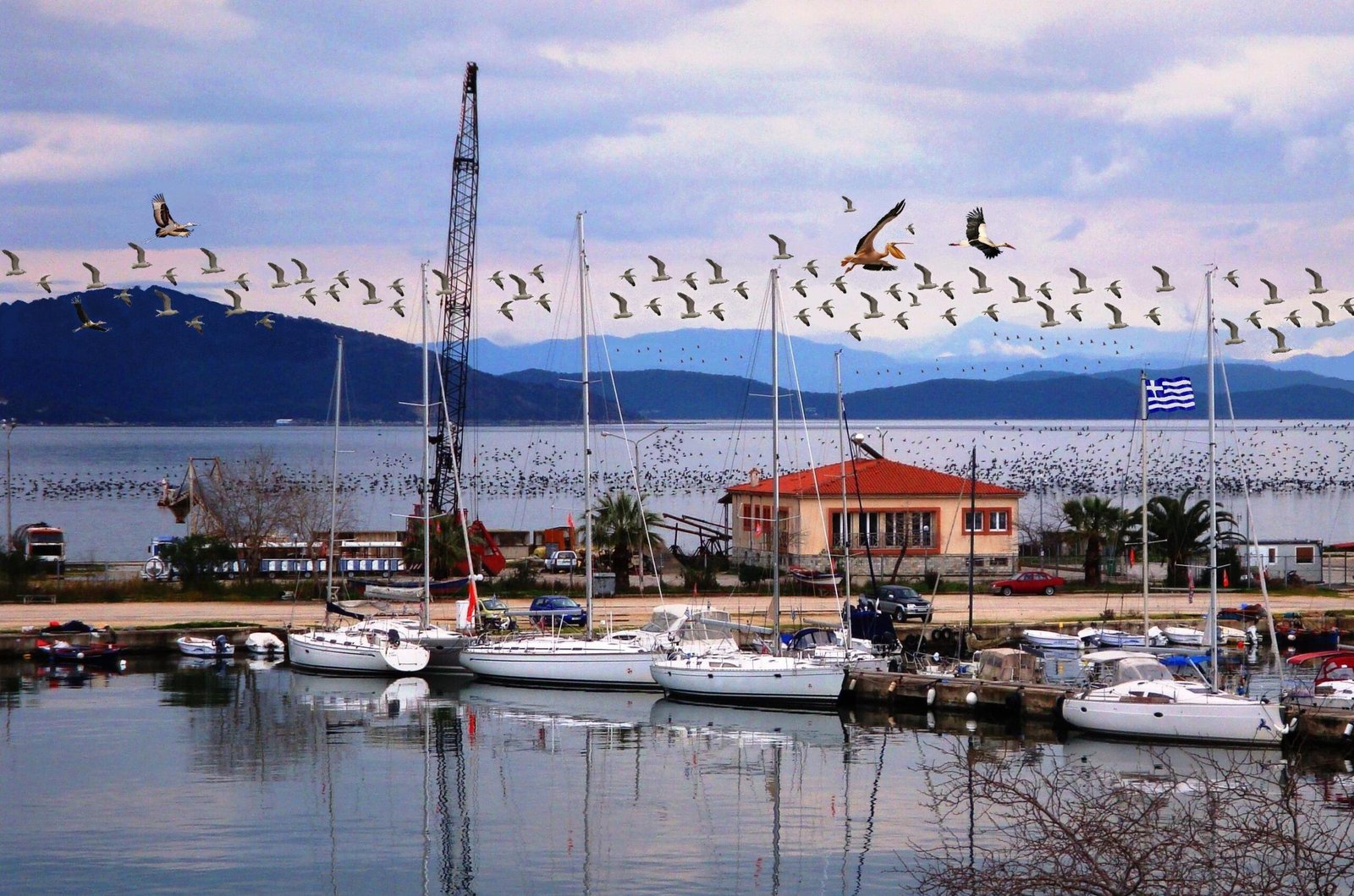 Looking to the Future: Hope on the Horizon (image credits: wikimedia)