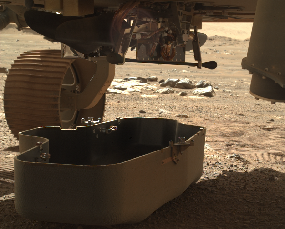 Building Habitats: Microbial Shields Against Radiation (image credits: wikimedia)