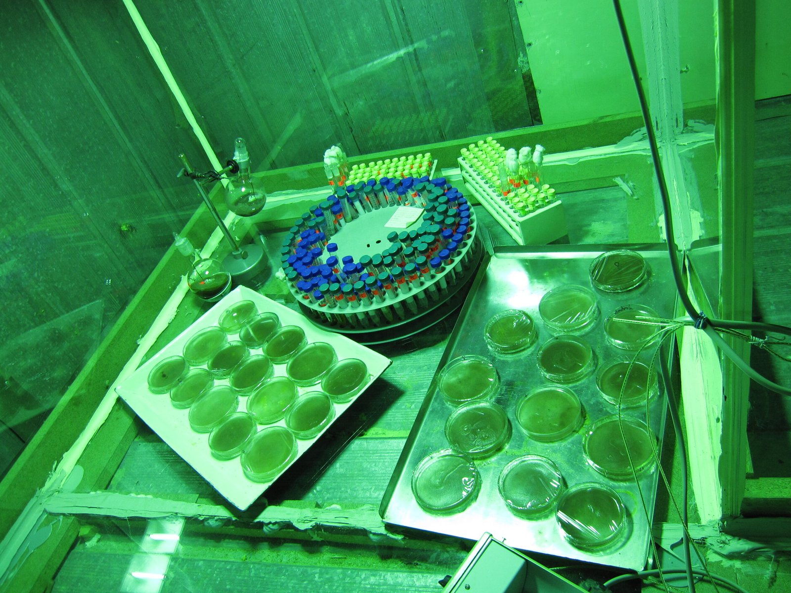 Terraforming Dreams: Small Steps With Big Potential (image credits: wikimedia)