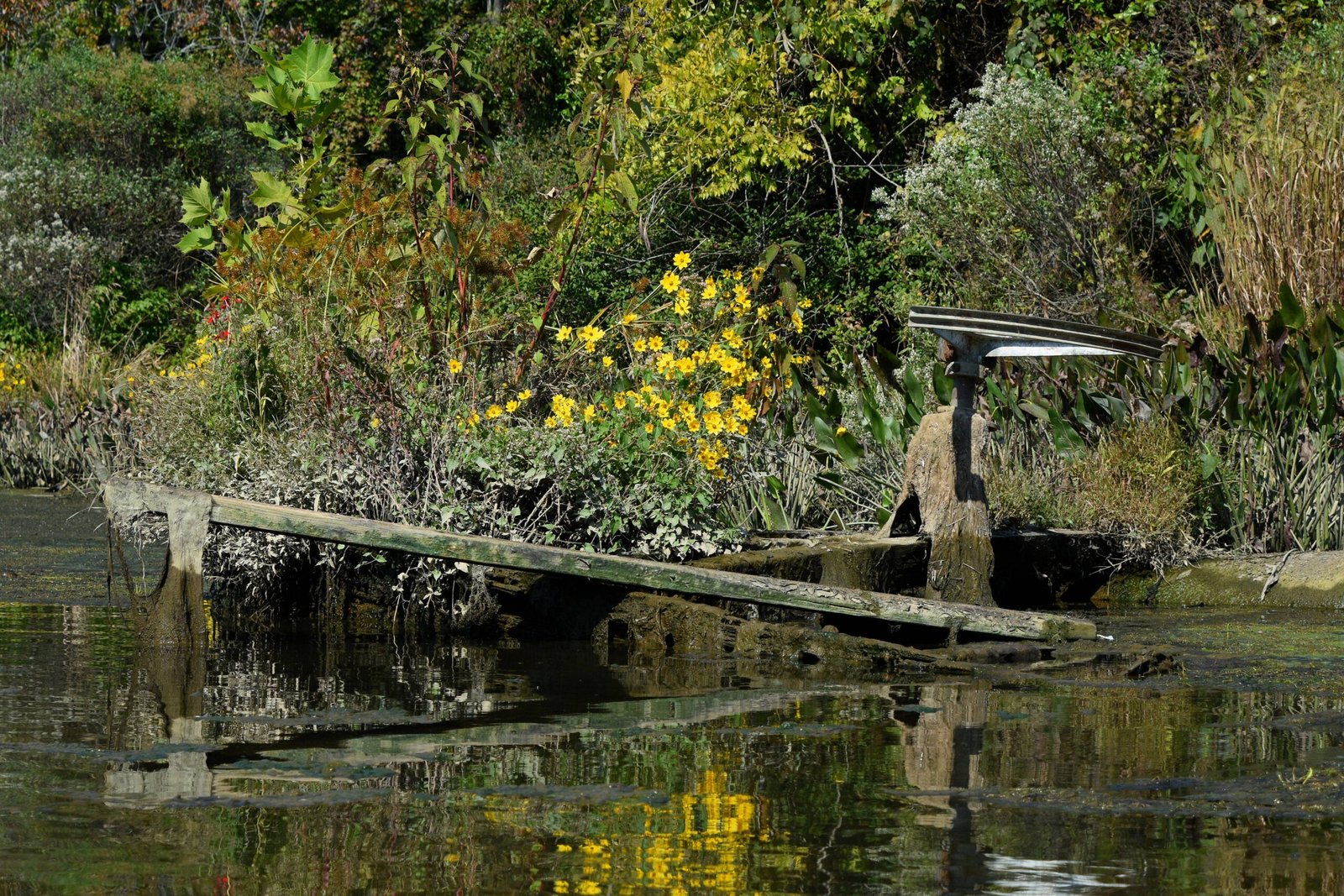 The Birth of a Ghost Fleet (image credits: wikimedia)