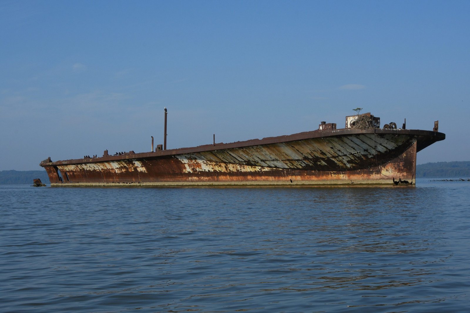 The Mystery of the “Ghost Fleet” Name (image credits: wikimedia)