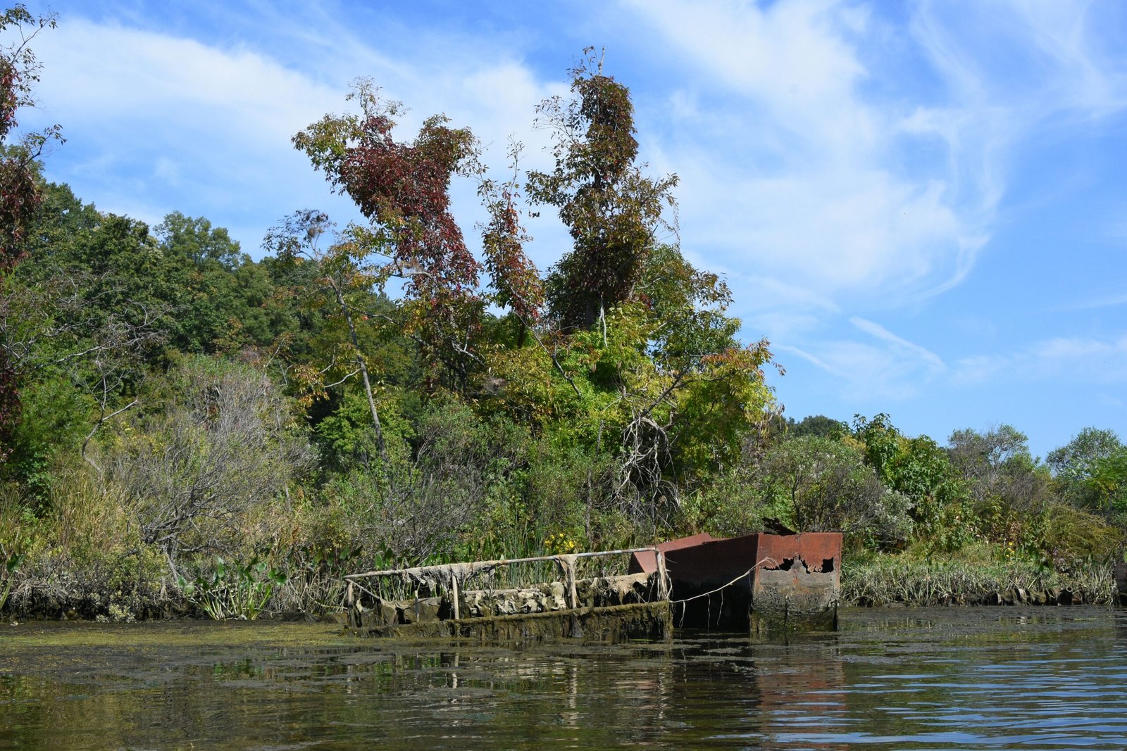 Mallows Bay’s Lesson for the Future (image credits: wikimedia)