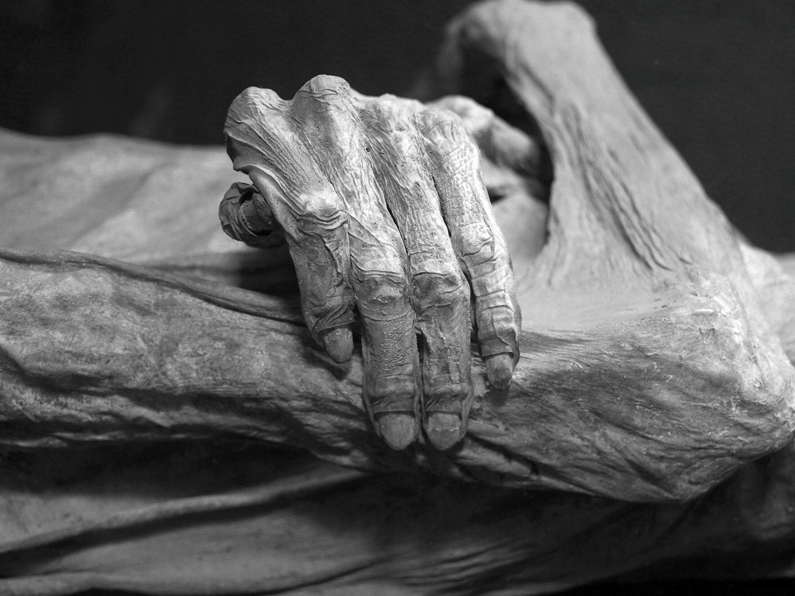 What Exactly Is Natural Mummification? (image credits: wikimedia)