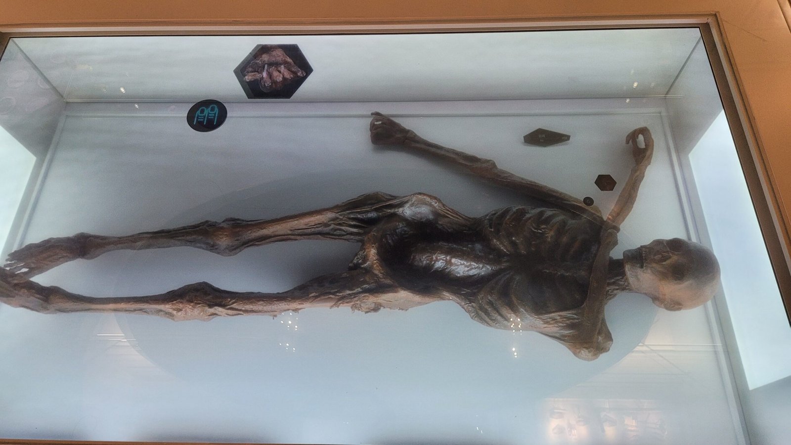 Frozen in Time: Arctic Mummies (image credits: wikimedia)