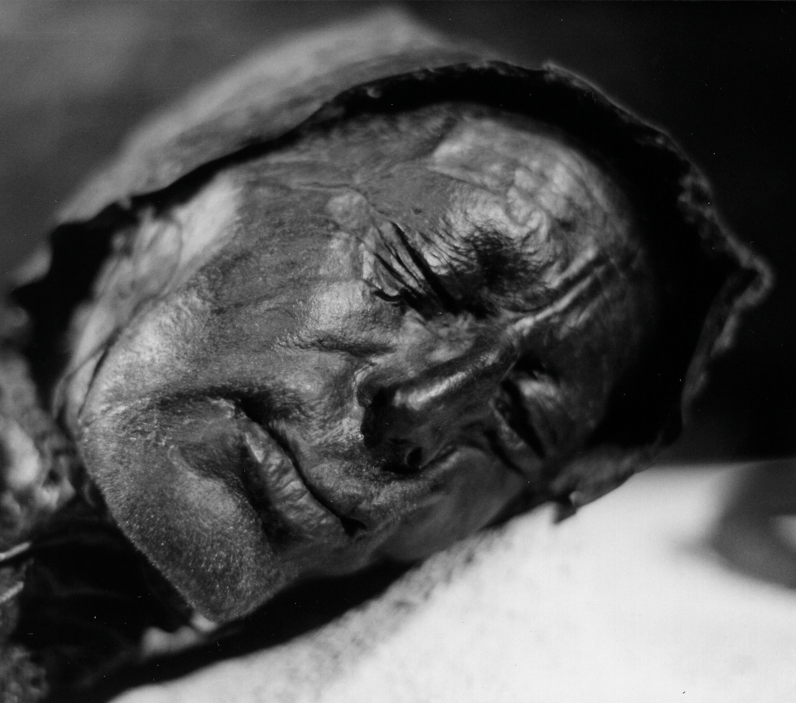Bog Bodies: Preserved by Acid and Mystery (image credits: wikimedia)