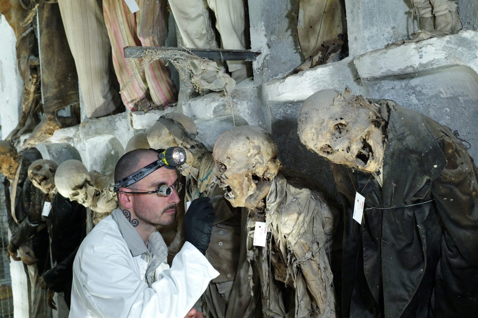 Wind and Air: The Power of Ventilation (image credits: wikimedia)