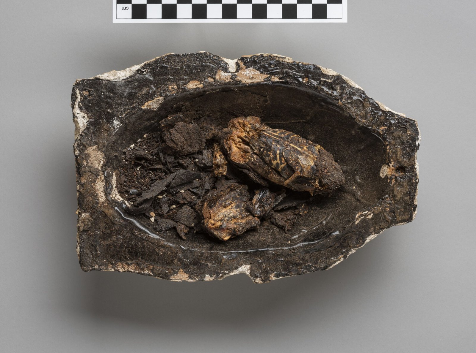 Unintentional Mummies in Modern Times (image credits: wikimedia)