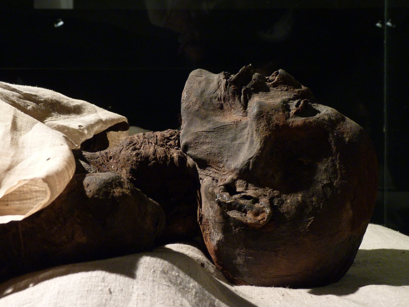 What Natural Mummies Reveal About the Past (image credits: wikimedia)