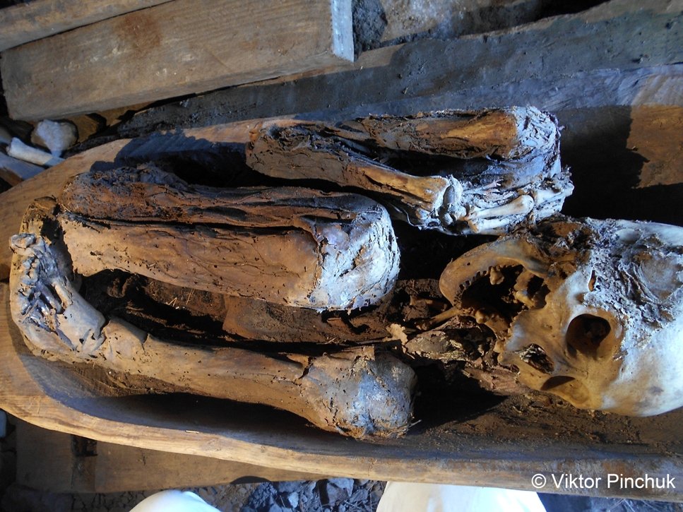The Emotional Impact of Natural Mummification (image credits: wikimedia)