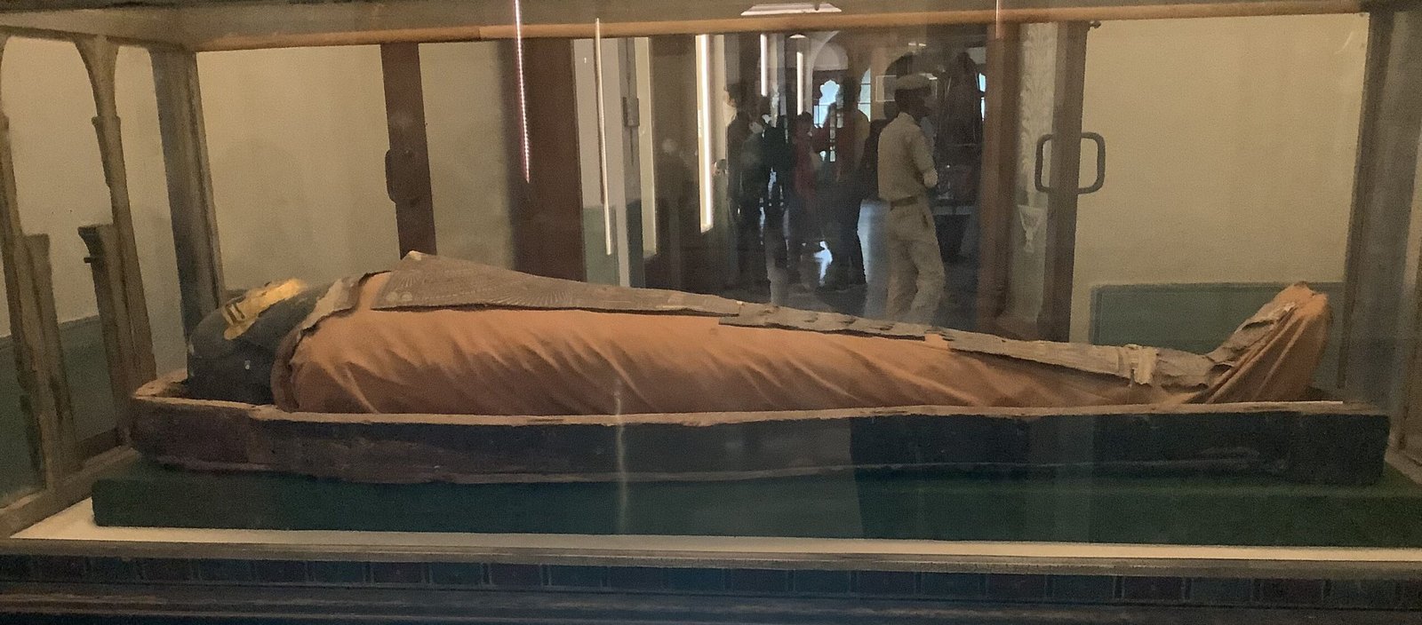 Reflections on Nature’s Power to Preserve (image credits: wikimedia)