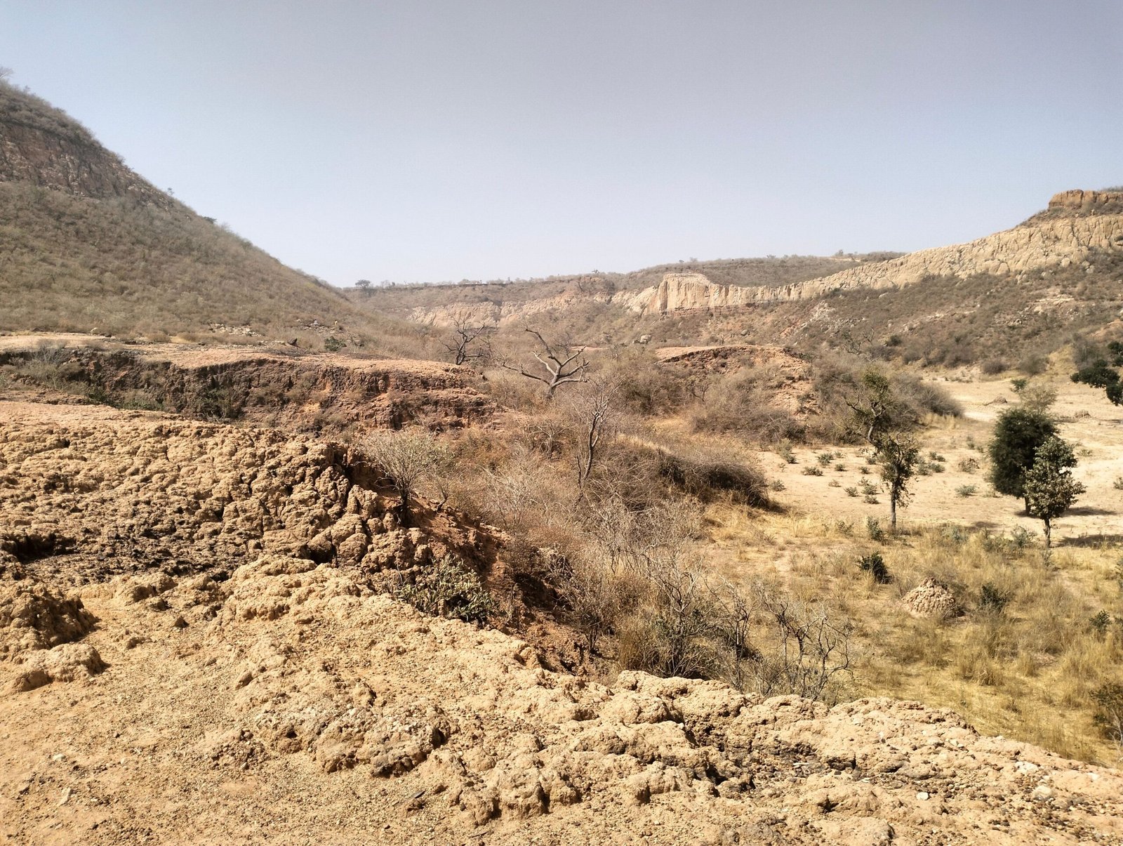 The Battle Between Growth and Erosion (image credits: wikimedia)