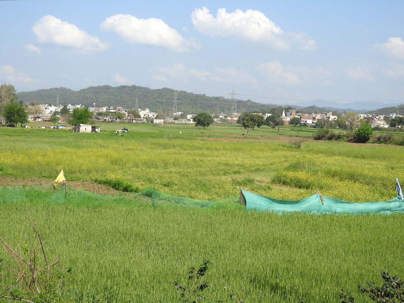 Nature as Neighbor and Provider (image credits: wikimedia)