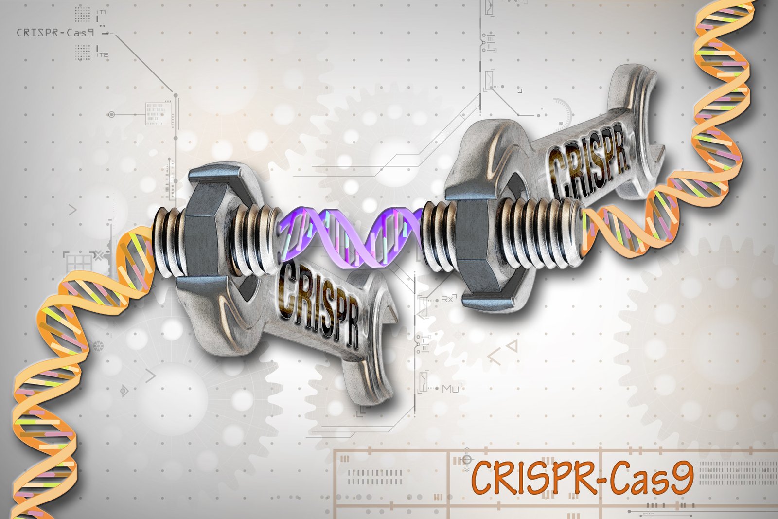 The Promise and Perils of CRISPR Gene Editing (image credits: wikimedia)