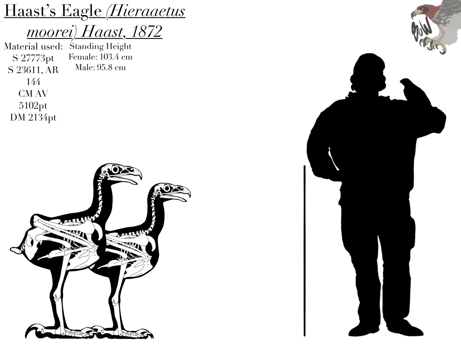 Modern Scientific Discoveries and Insights (image credits: wikimedia)