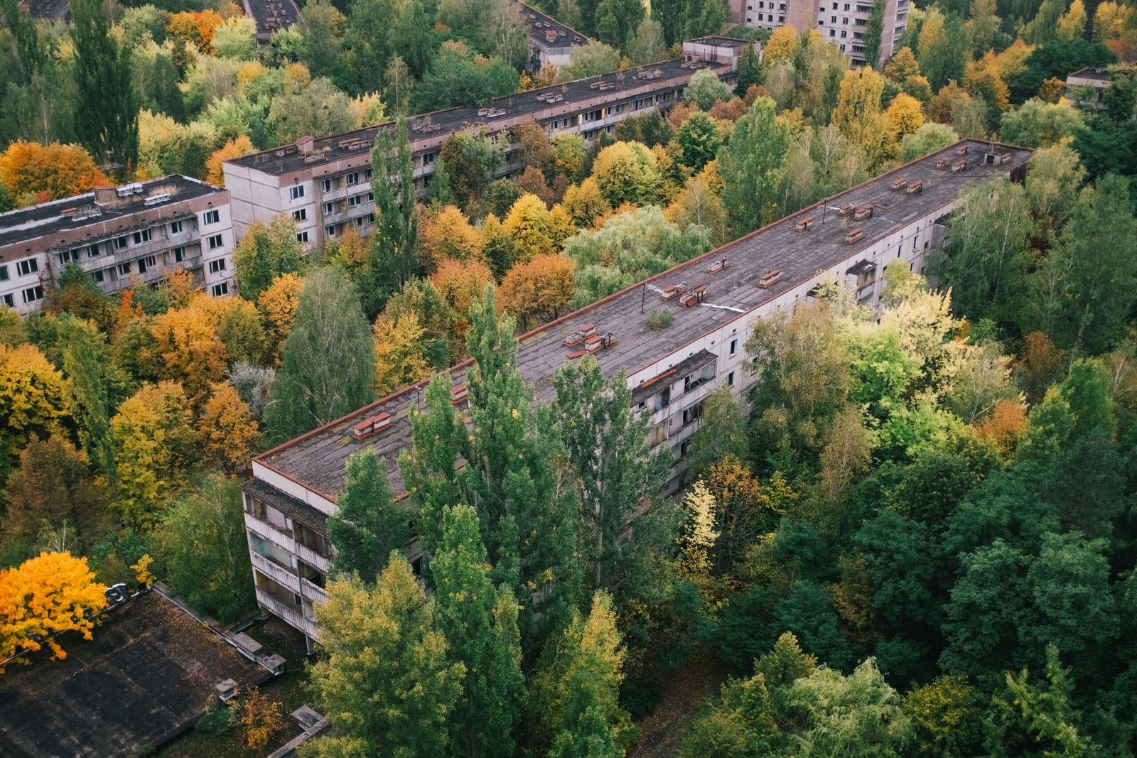 What the Chernobyl Nightlife Teaches Us About Resilience (image credits: wikimedia)