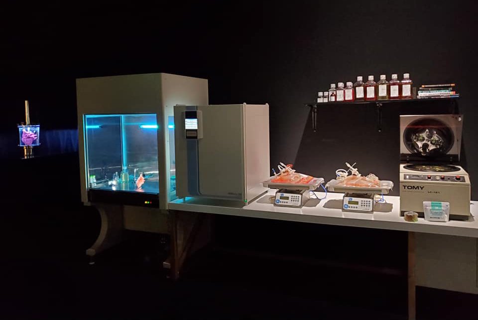 Ethical Questions: Playing God or Saving the World? (image credits: wikimedia)