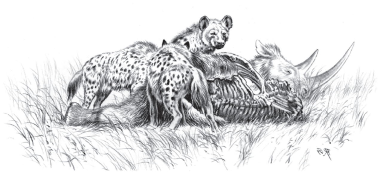 Not Exactly Huggable: The OG Unhuggable Friend (image credits: wikimedia)