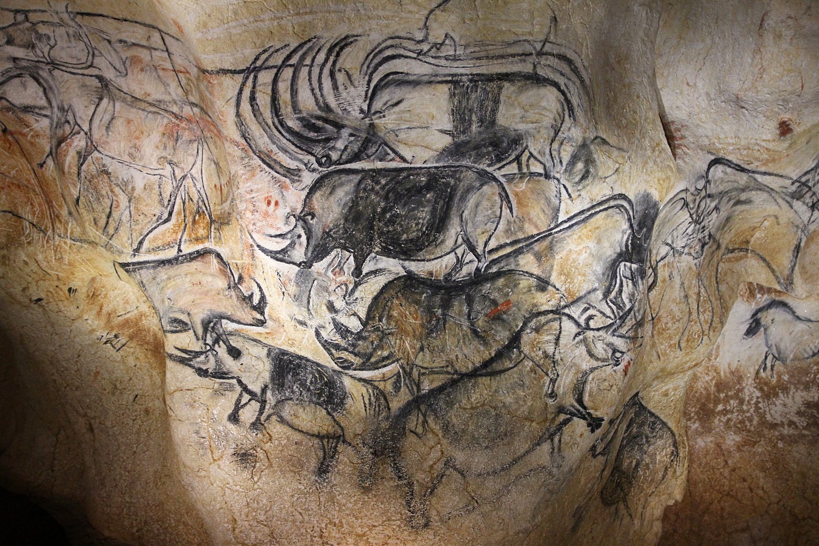 Woolly Rhinos in Prehistoric Art (image credits: wikimedia)