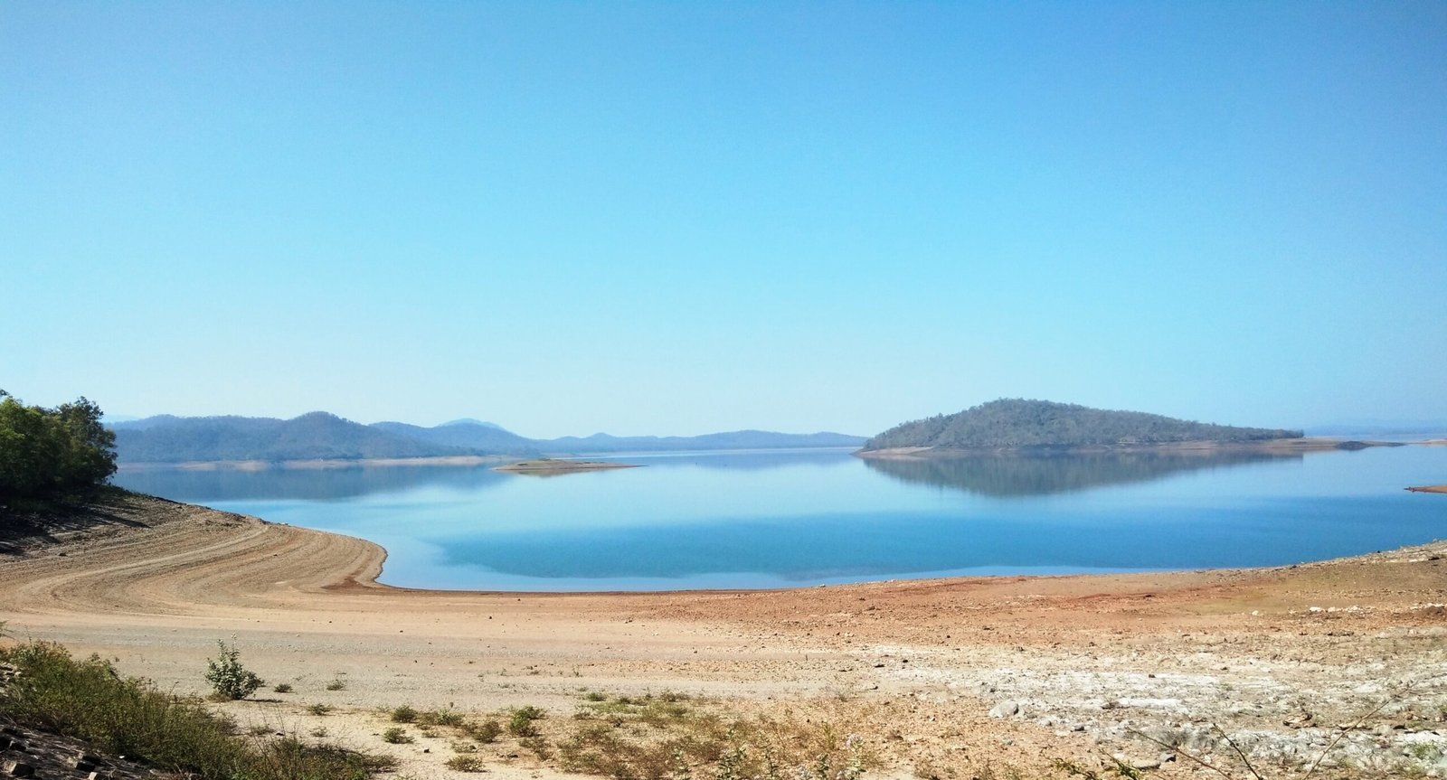 Nature’s Comeback: Life Thrives in Unexpected Ways (image credits: wikimedia)