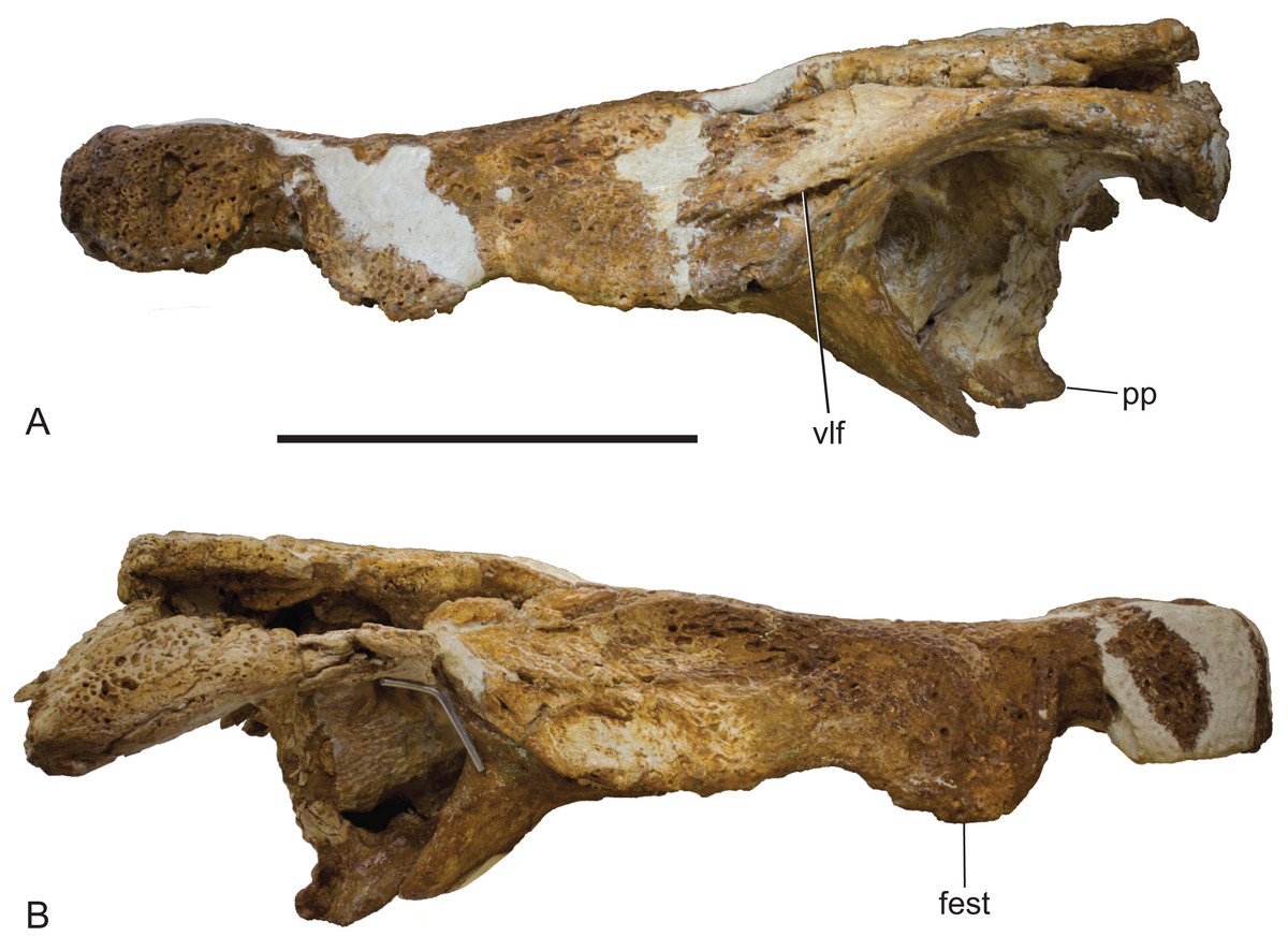 The Ongoing Quest for Discovery (image credits: wikimedia)