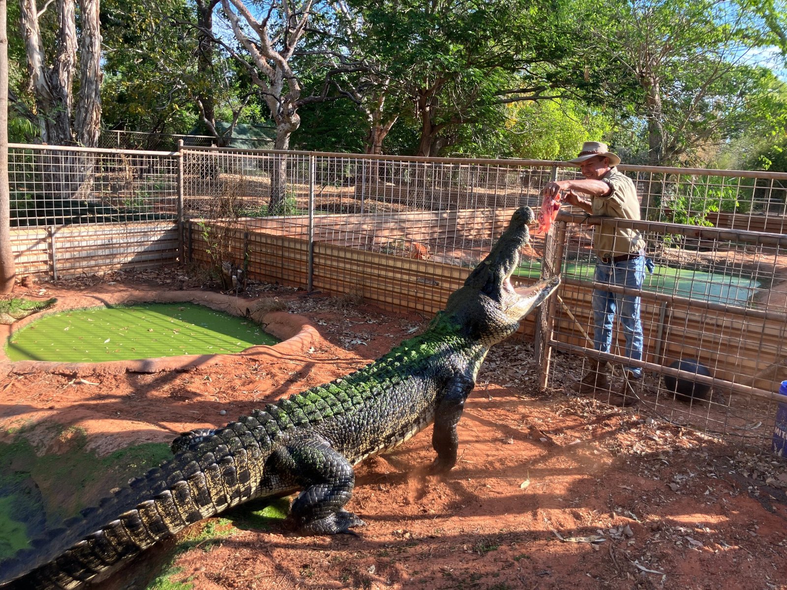 Why the Story Still Matters Today (image credits: wikimedia)