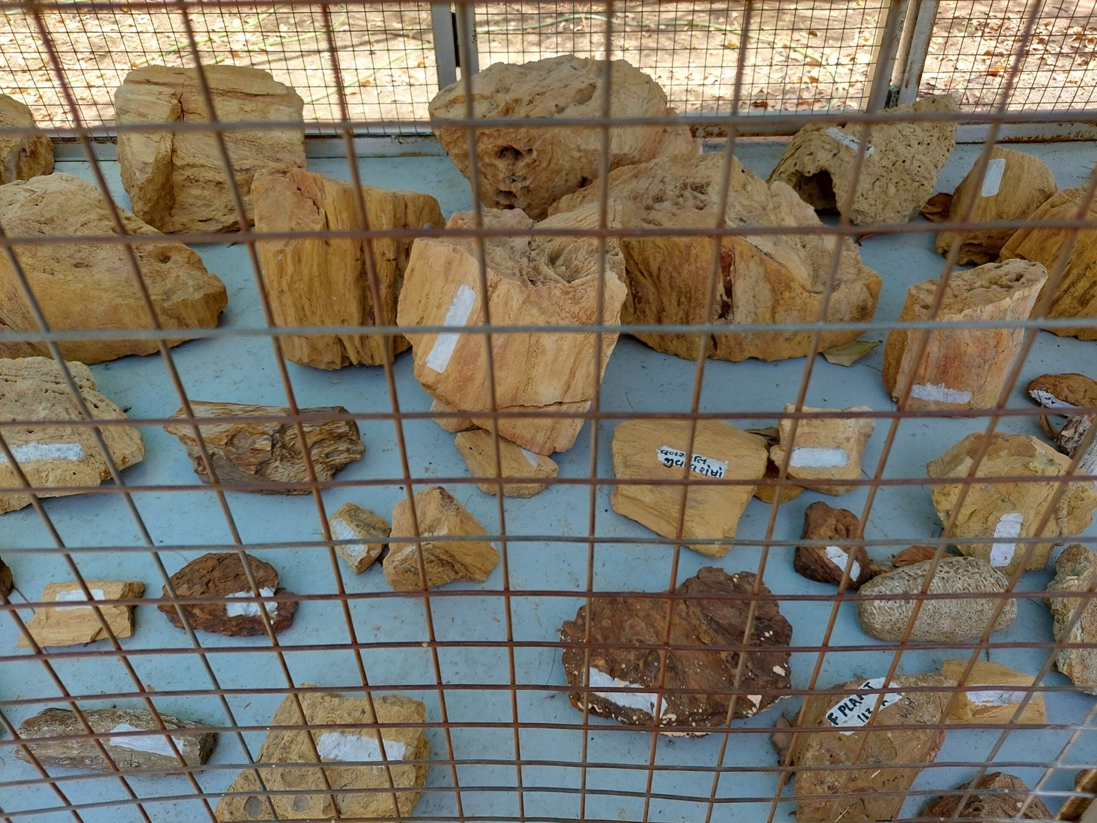 Modern Discoveries: Digging into the Past (image credits: wikimedia)