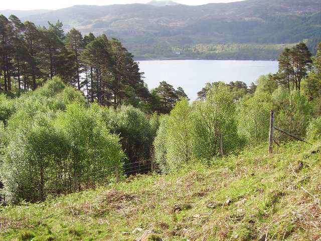 Science Meets Tradition: The Power of Collaboration (image credits: wikimedia)