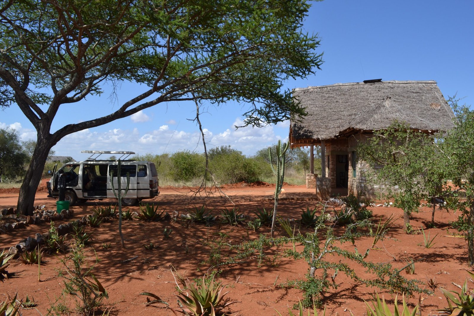 The Hidden Costs to Local Communities (image credits: wikimedia)