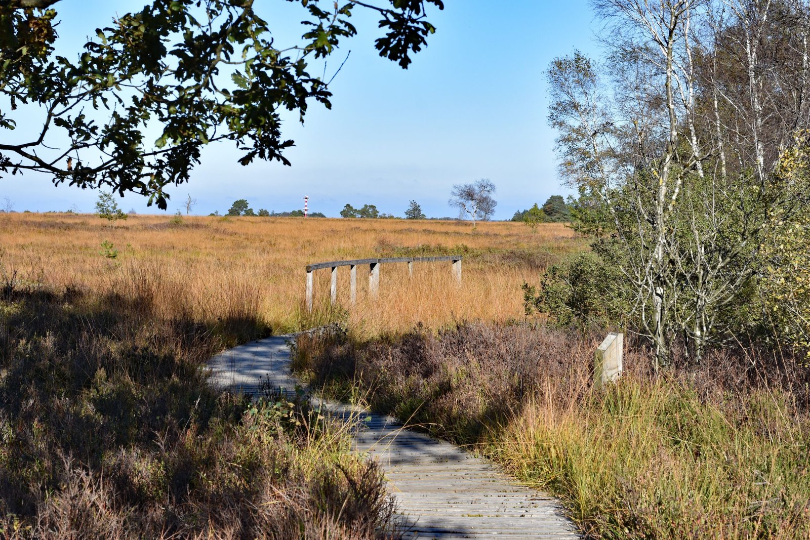 Looking Beyond the Headlines (image credits: wikimedia)