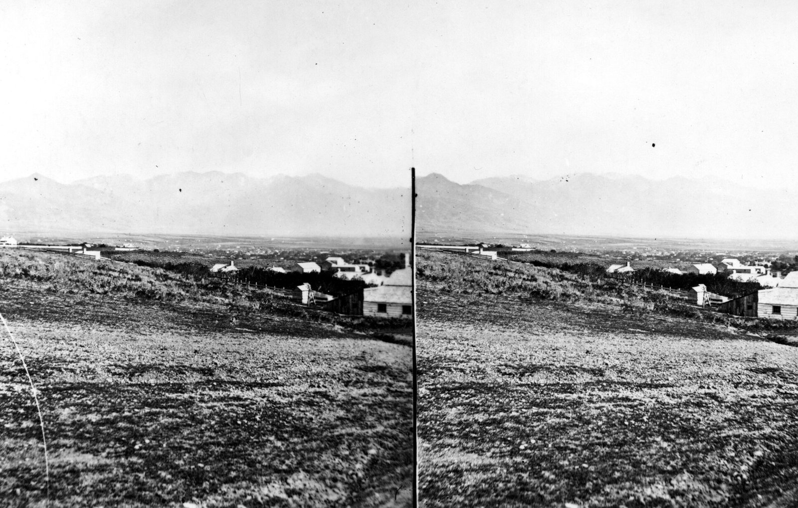 A Habitat Like No Other: Life in the Salt (image credits: wikimedia)