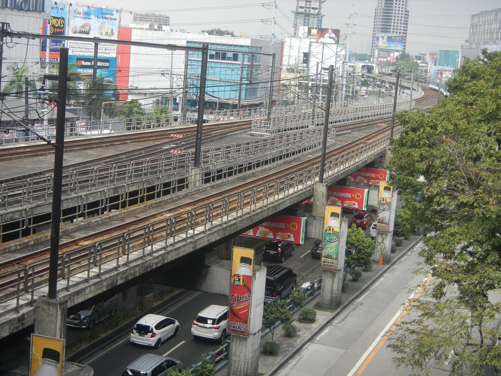 Why Birds Commute: The Perks of Public Transit (image credits: wikimedia)