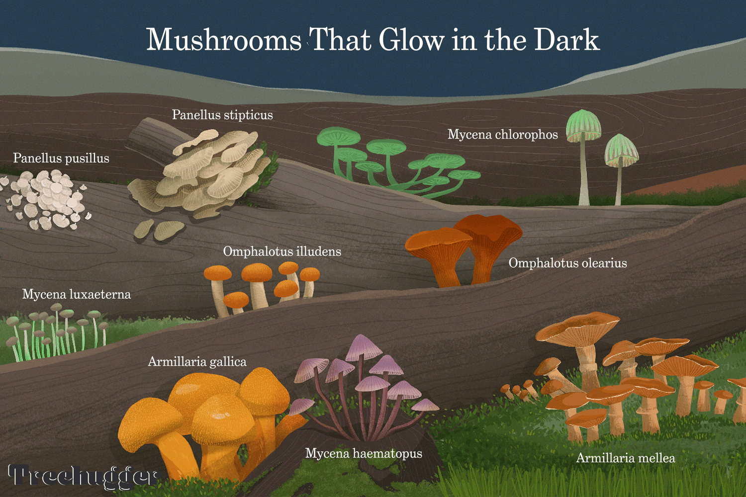 Modern Science Meets Ancient Wonder (image credits: wikimedia)