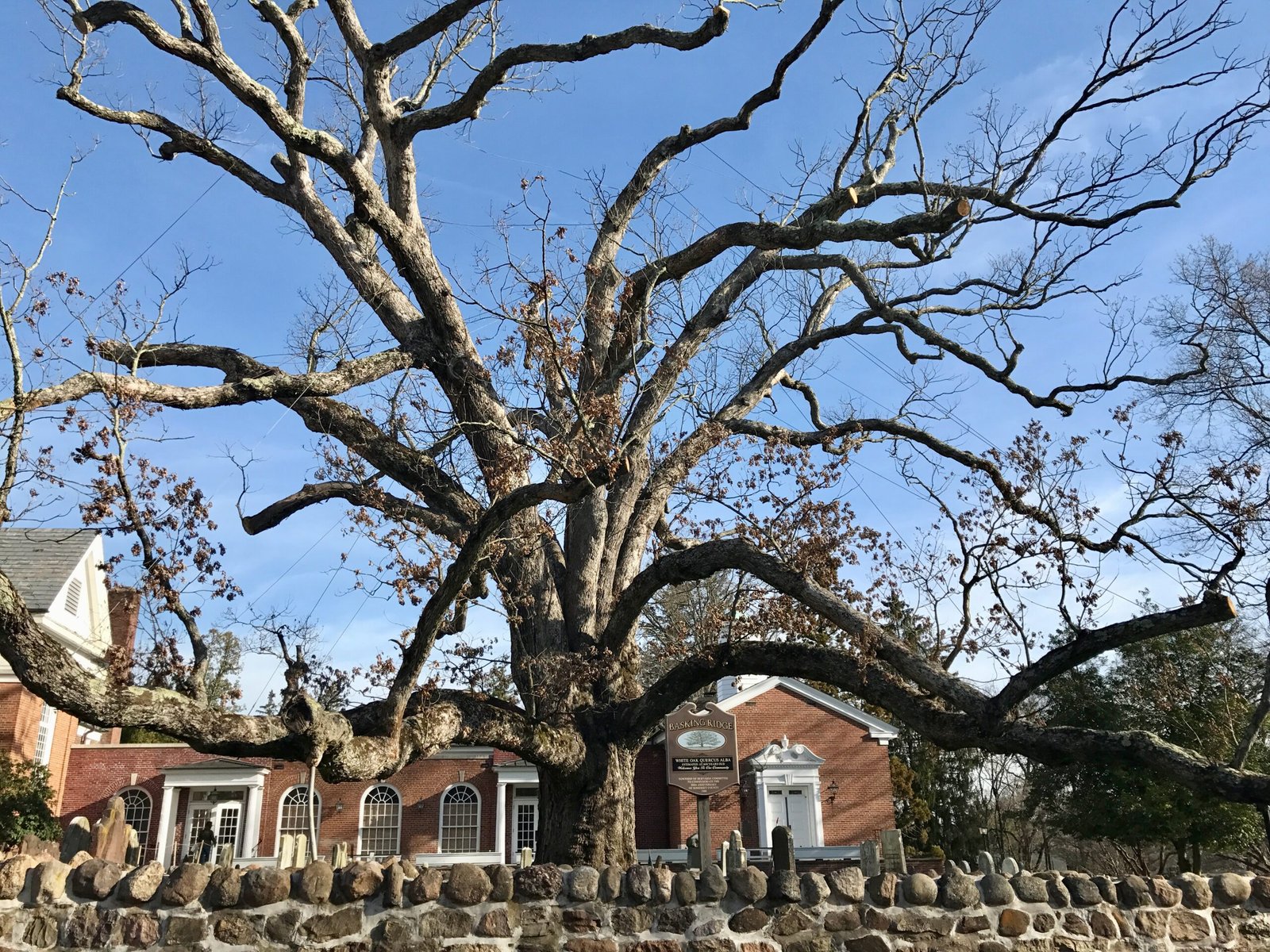 The Legal Enigma (image credits: wikimedia)