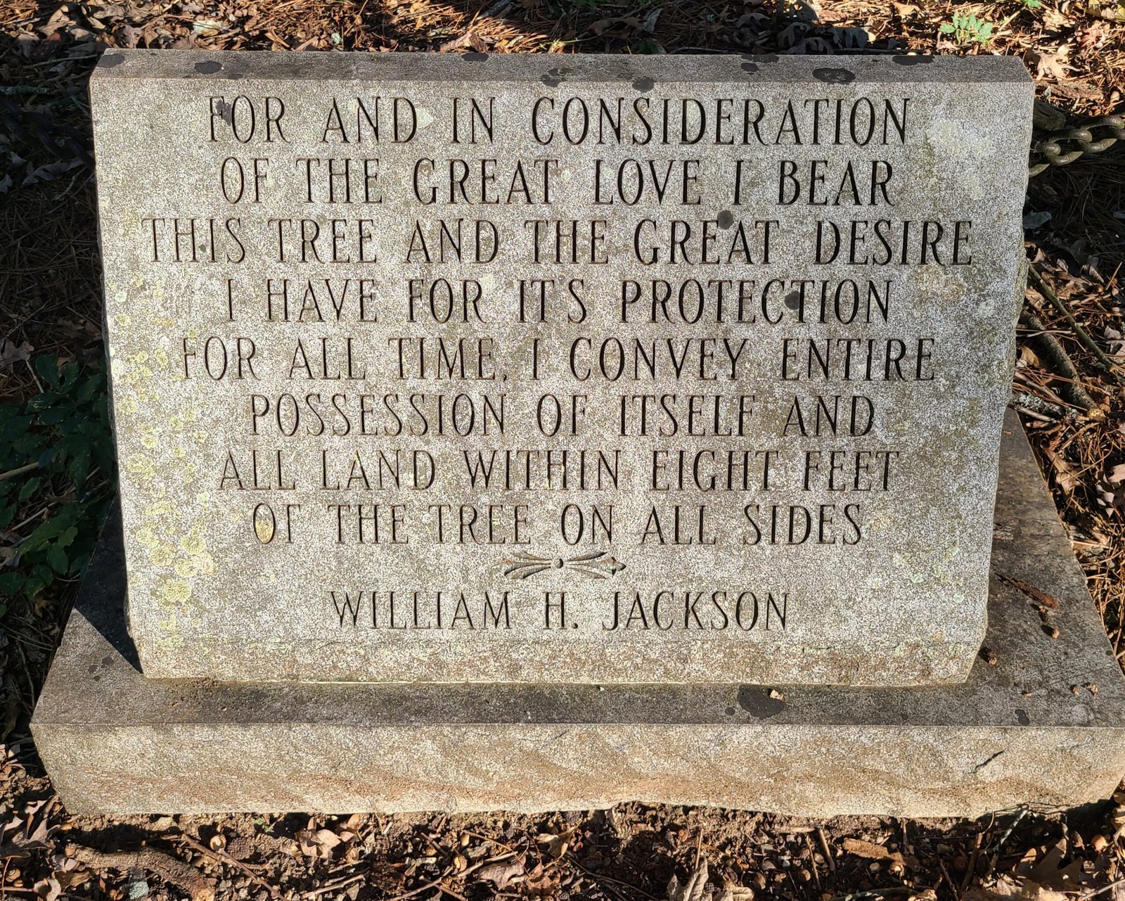 A Living Organism with “Rights” (image credits: wikimedia)