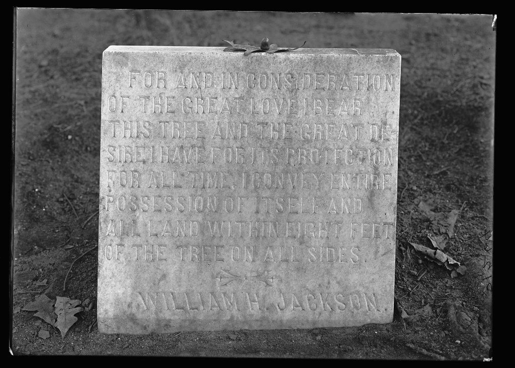 Community and Cultural Impact (image credits: wikimedia)