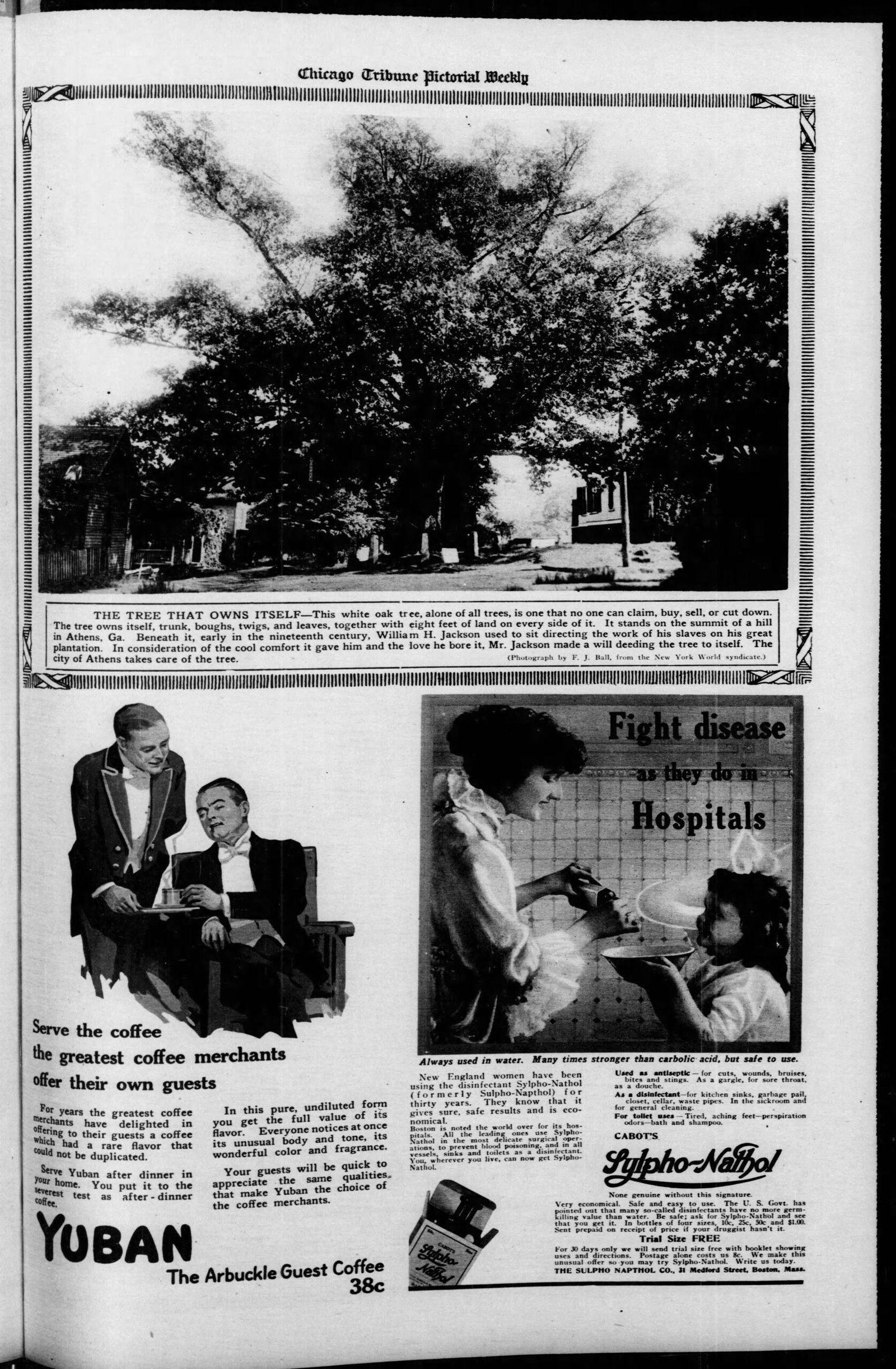 Symbolism and Inspiration (image credits: wikimedia)