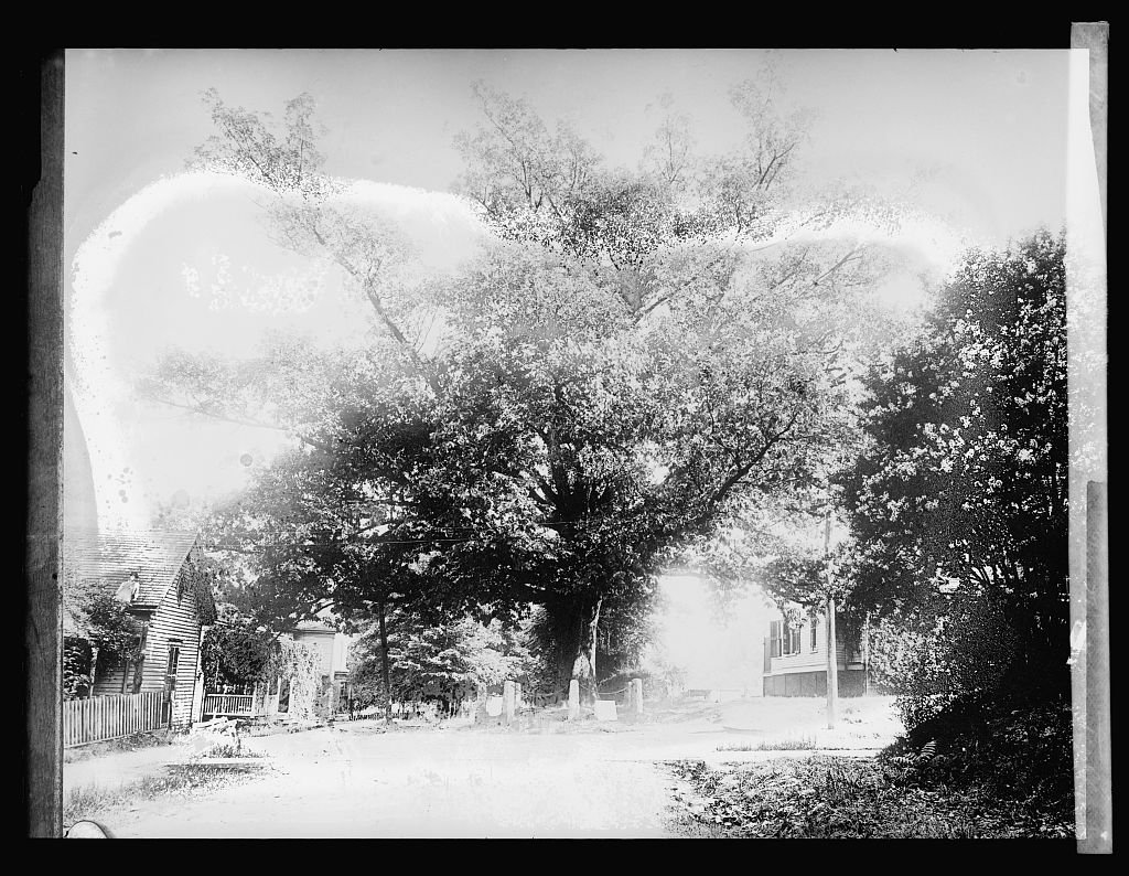 Scientific Curiosity and Public Engagement (image credits: wikimedia)