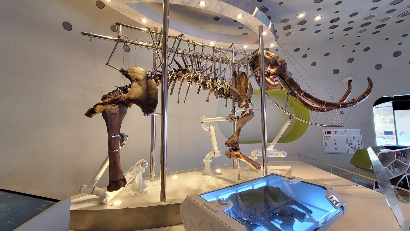 Prehistoric Giants and Tiny Victims (image credits: wikimedia)