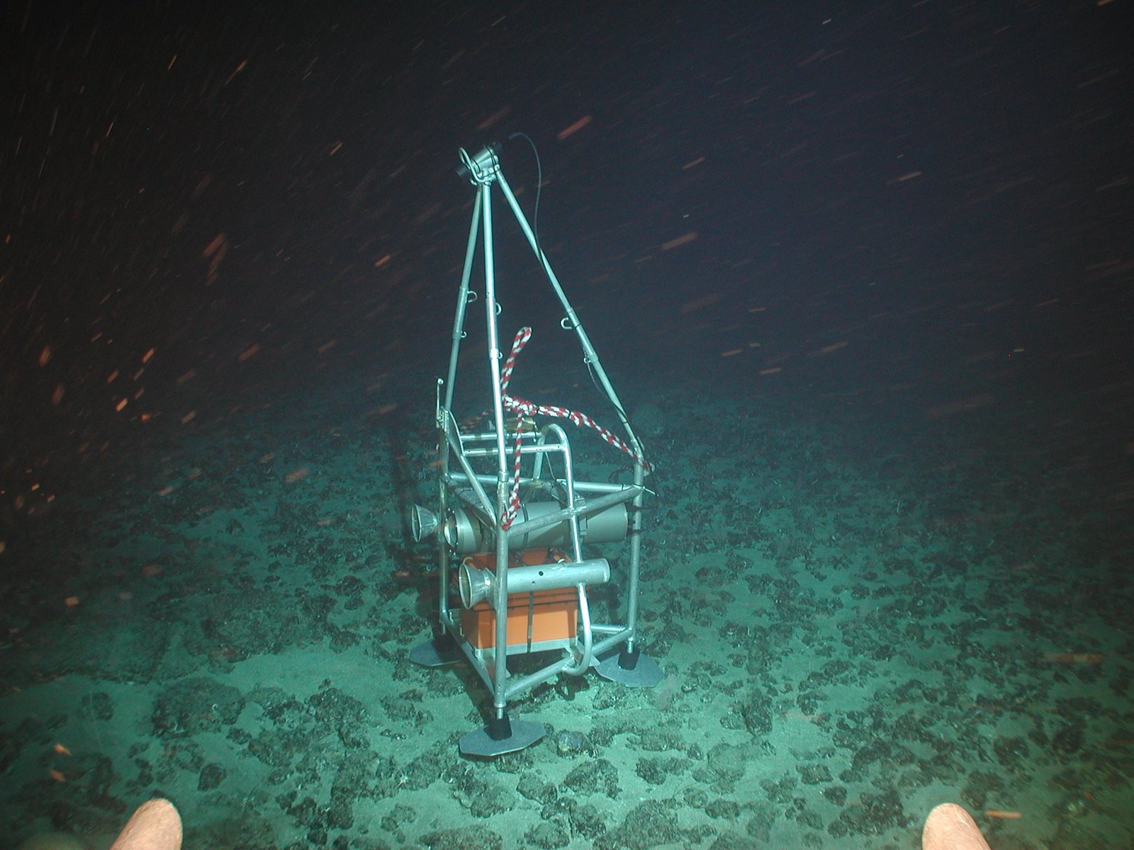 Threats and Future Exploration (image credits: wikimedia)