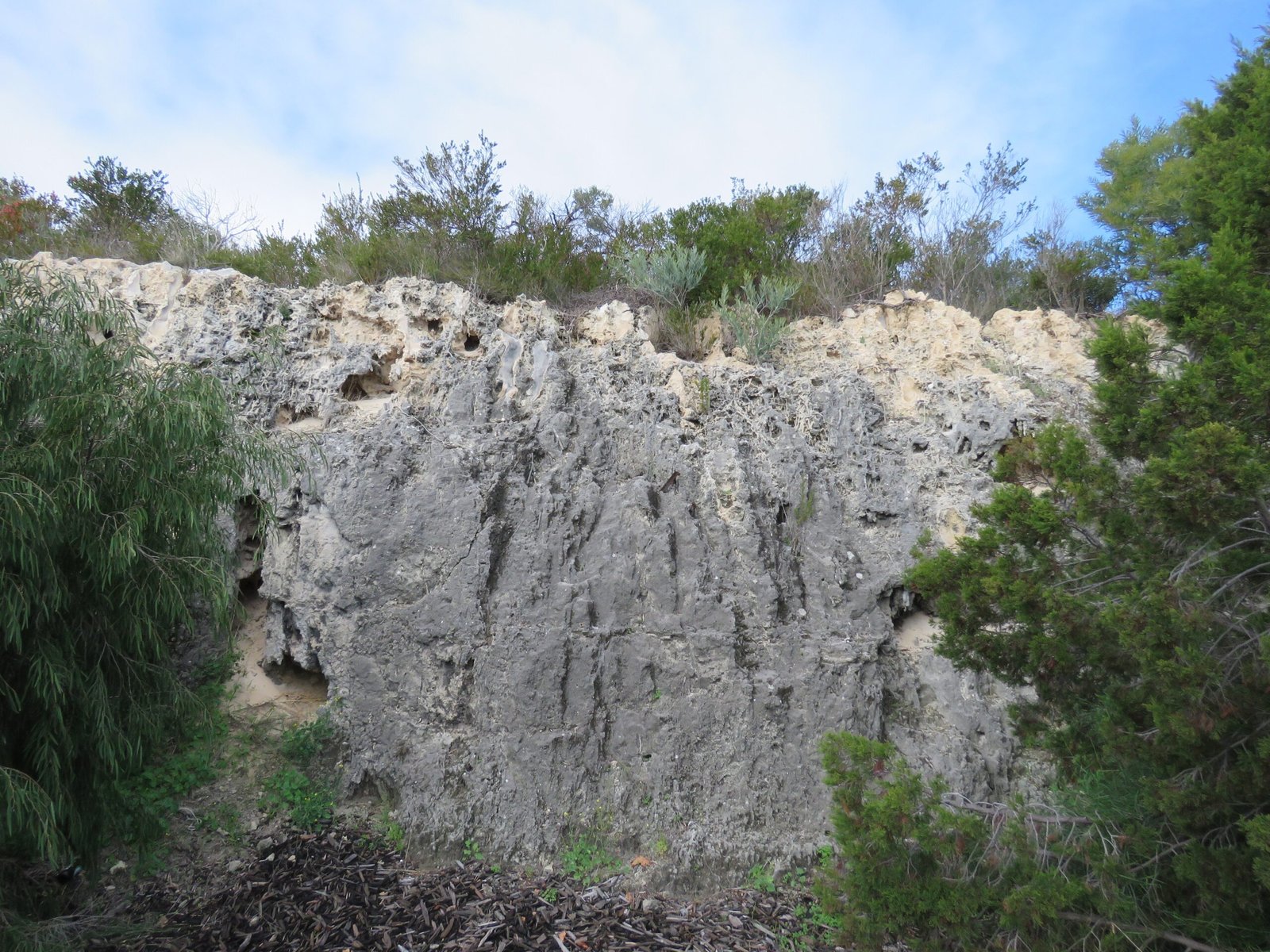 A Story Written in Stone (image credits: wikimedia)