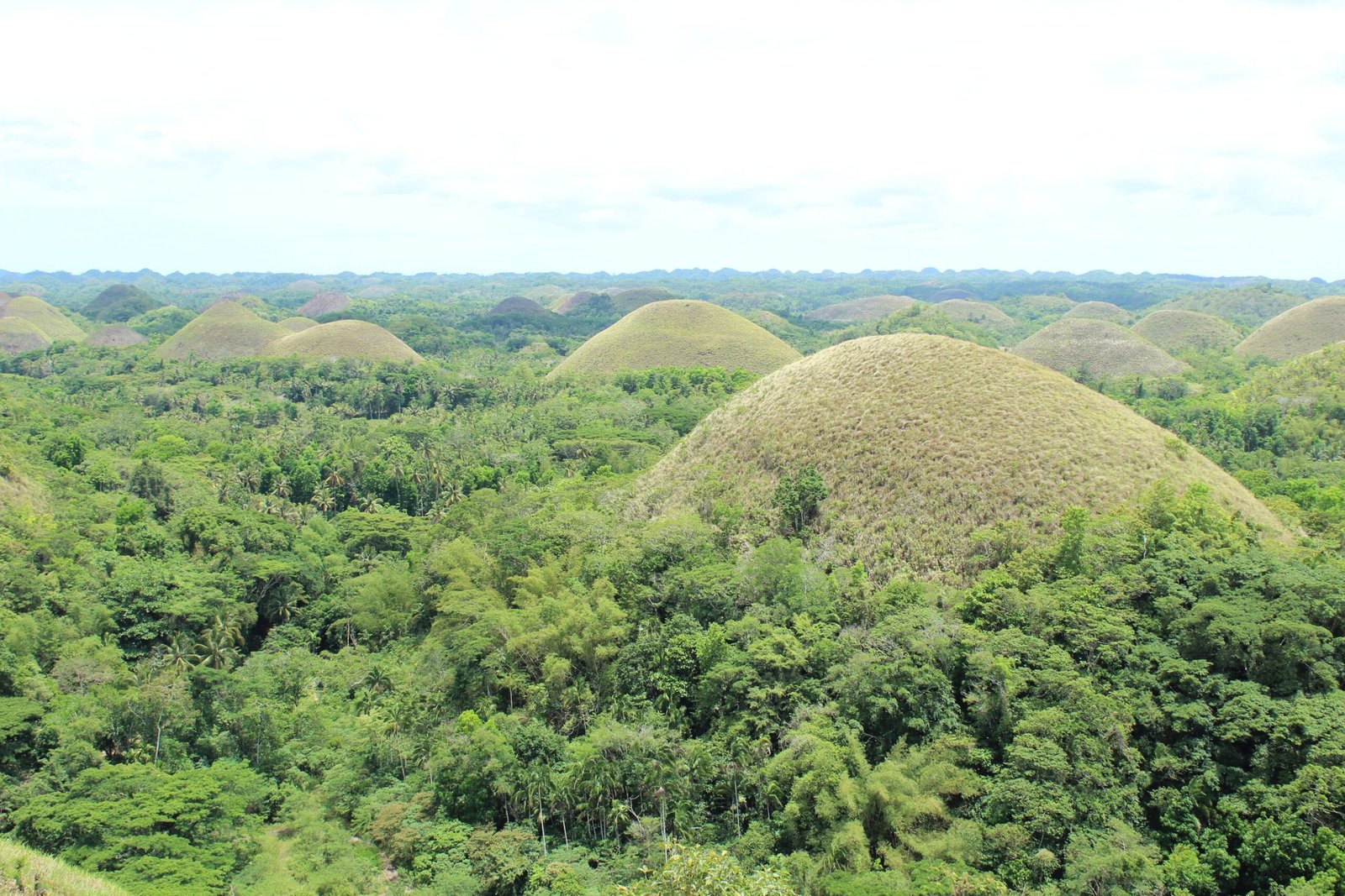 A Landscape That Defies Expectations (image credits: wikimedia)