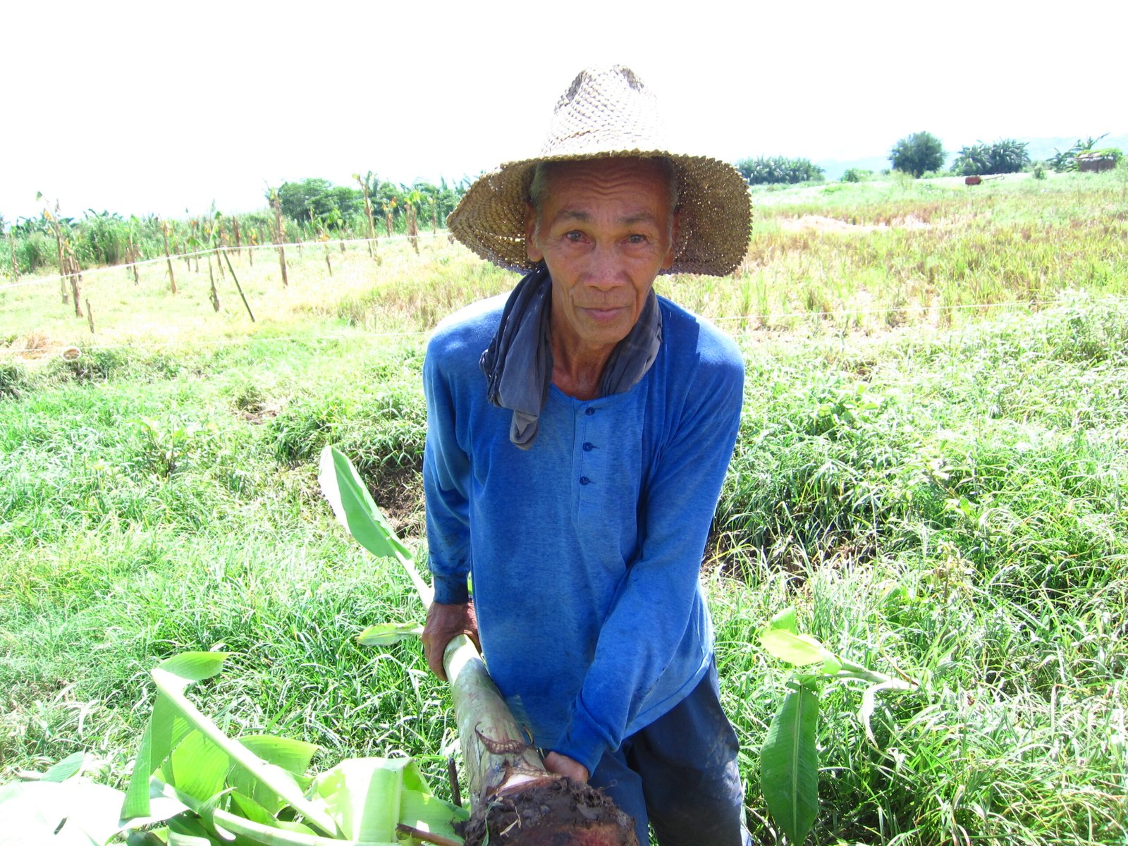 Rethinking Food and Farming (image credits: wikimedia)