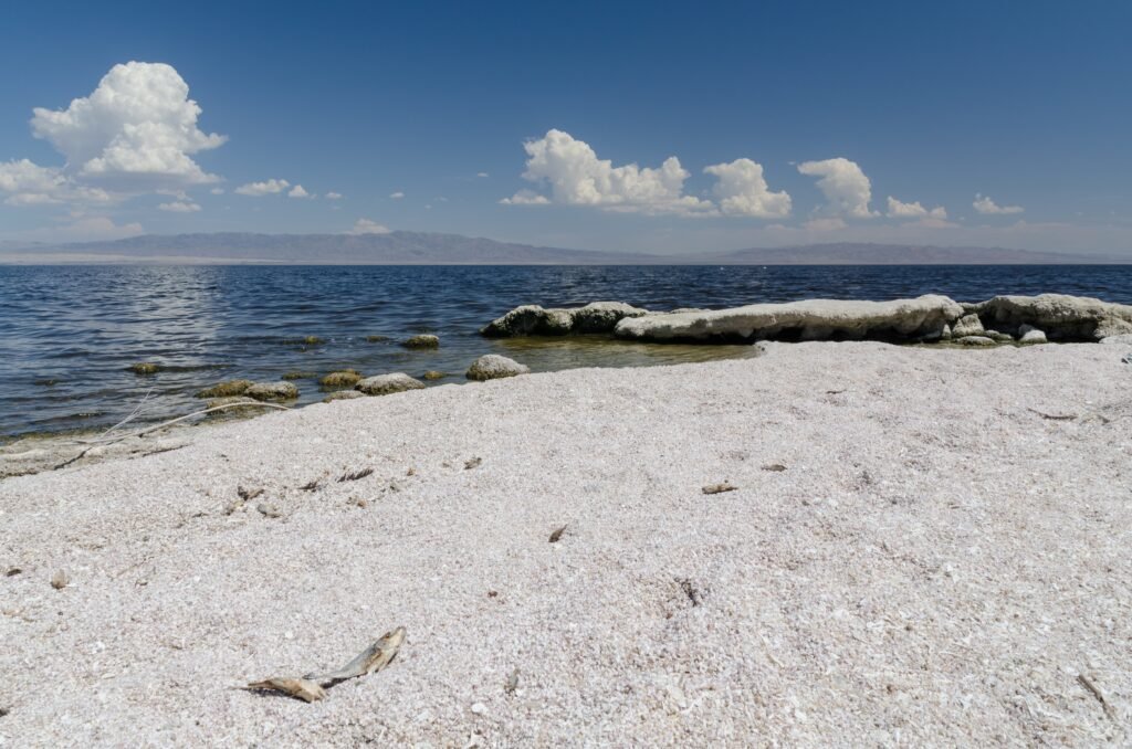 The Salton Sea Is Shrinking: What Happens When an Accidental Lake Turns Toxic