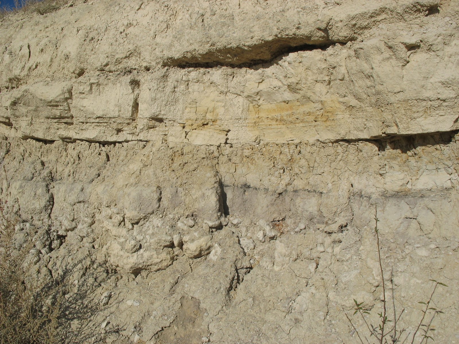 Fossil Sites That Changed Scientific Understanding (image credits: wikimedia)