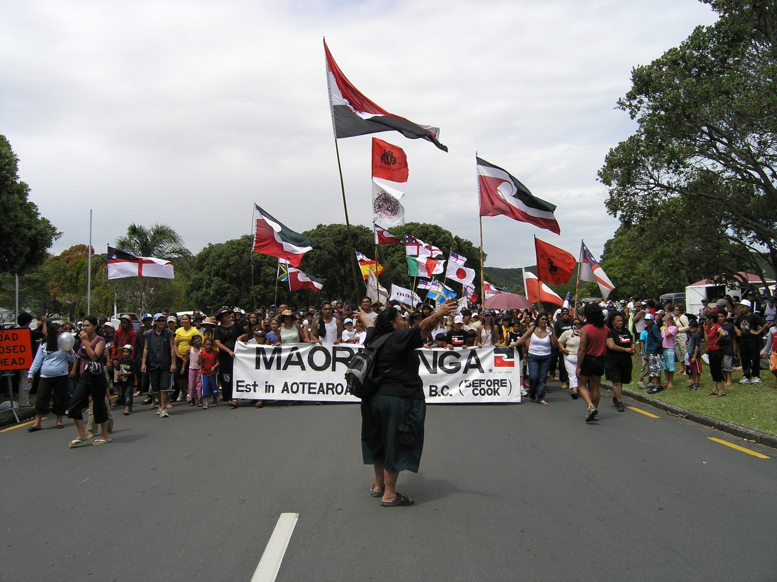 Rising Voices: The Māori Protest Movement (image credits: wikimedia)