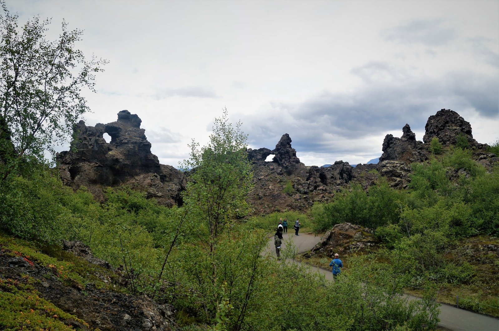 Nature’s Artistry: When Science Meets Wonder (image credits: wikimedia)